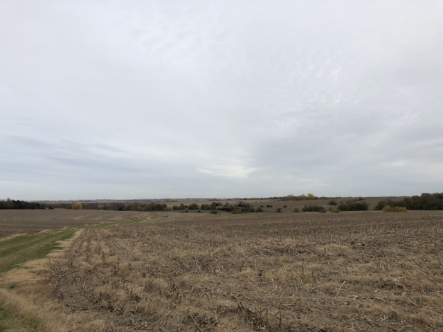 Richardson County Land for Sale - UFARM | United Farm & Ranch Management