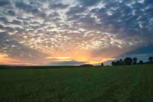 Land Management for Organic Farming in Nebraska