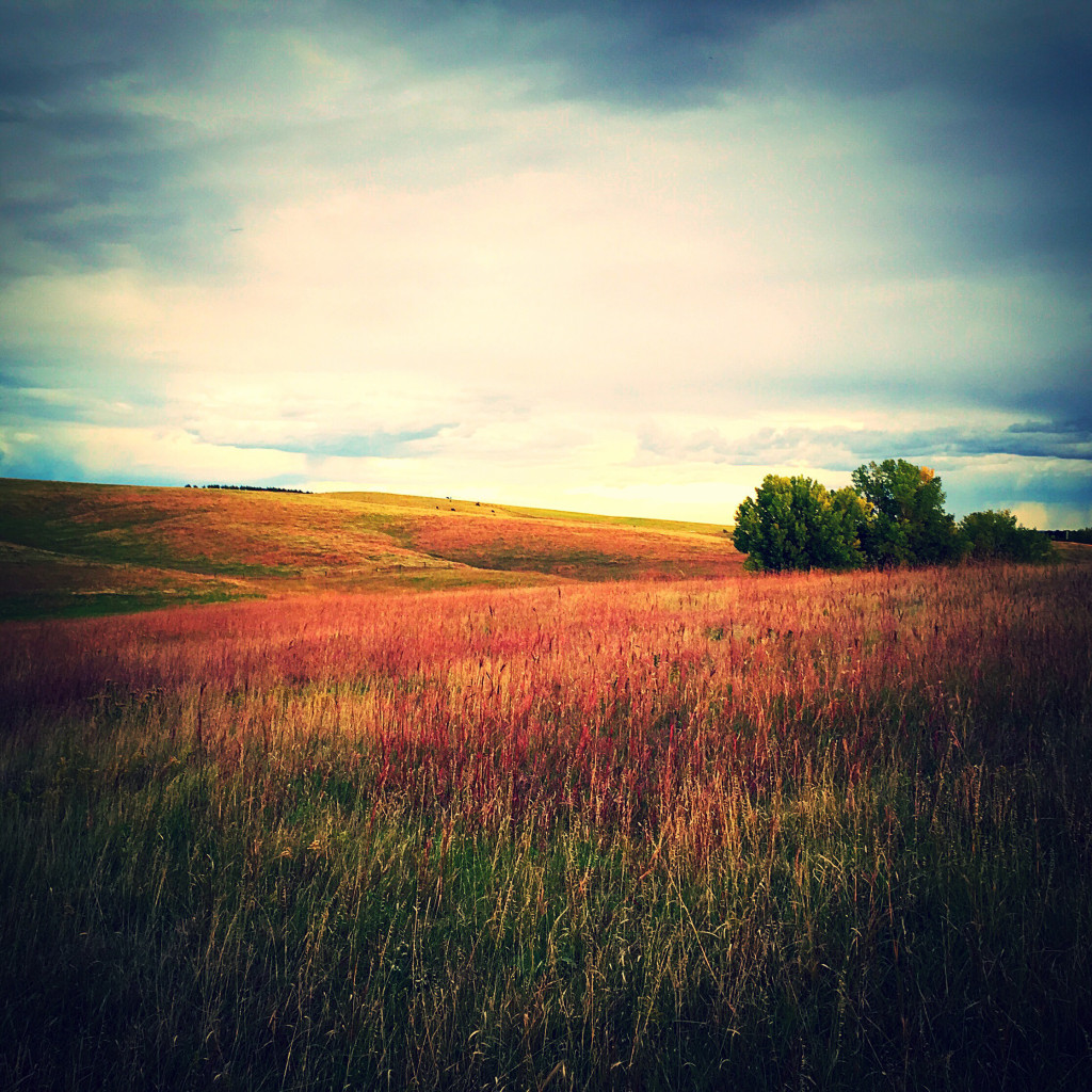 Nebraska Landowners