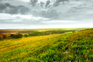 Finding a new land tenant