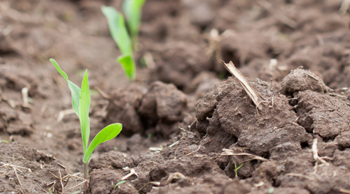 2015 Ag Input Prices