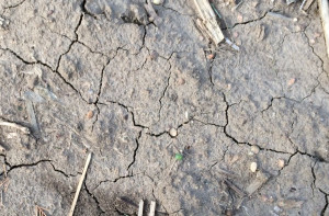 Dry Winter Effects Nebraska farmland