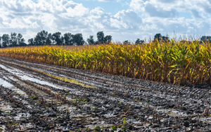 Nebraska Harvest Weather